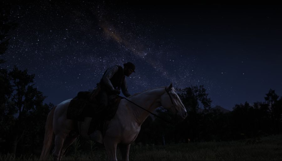 Red Dead Redemption 2 Screenshot 2021.01.22 - 19.04.29.23.png