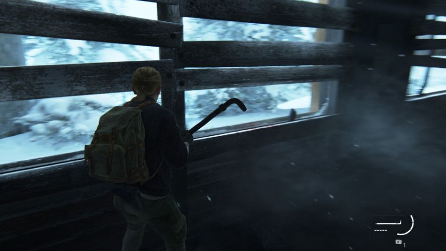 The Last of Us™ Part II_20210125174700.jpg