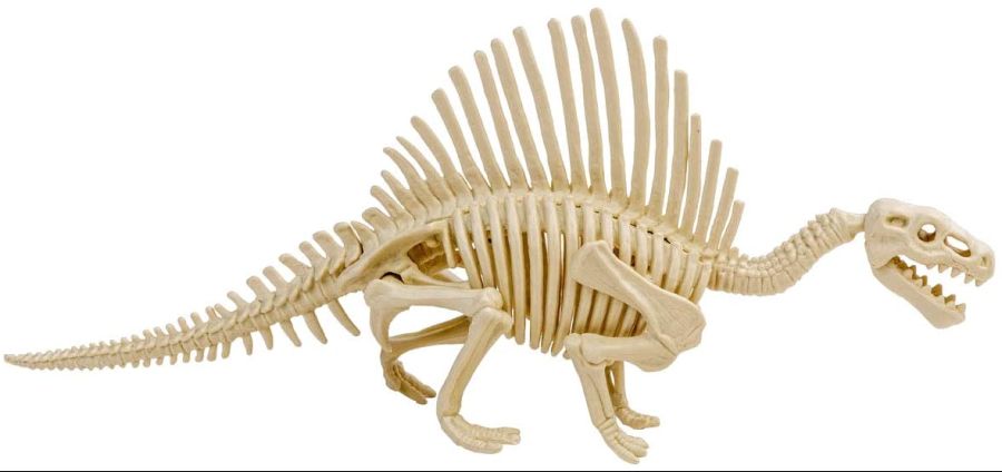 모노크롬 공룡 화석 모델 6.jpg