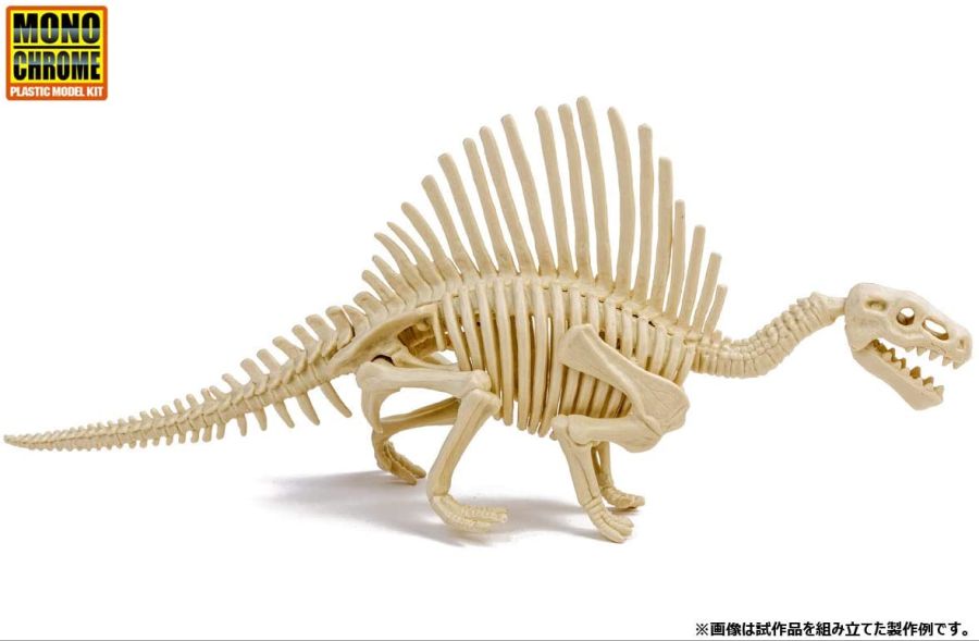모노크롬 공룡 화석 모델 8.jpg