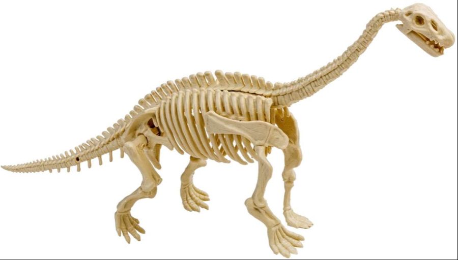 모노크롬 공룡 화석 모델 18.jpg