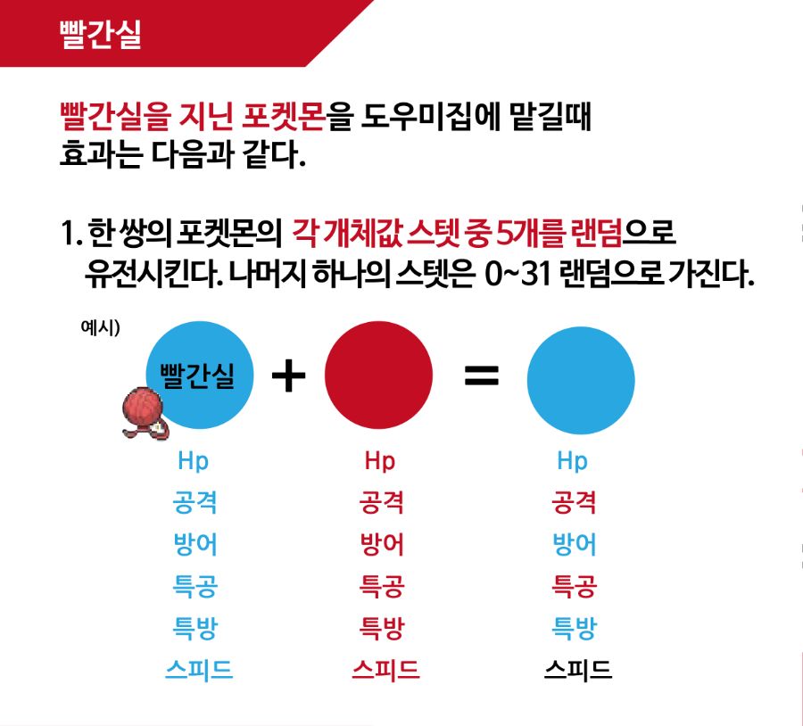 포켓몬 설명002-04.jpg