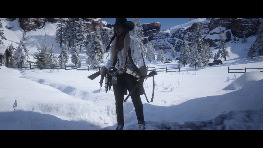 RDR2 2021-02-12 14-56-34-047.jpg