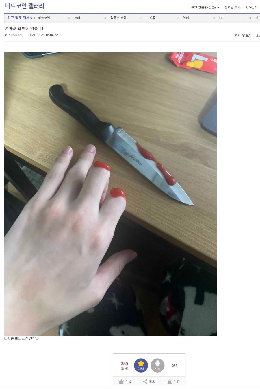 이 시각 비트코인 갤러리 근황jpg