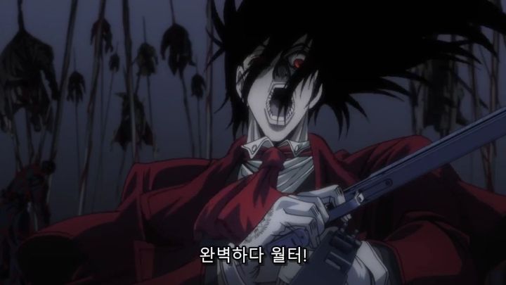 [헬싱] 움짤) 총과 검 그리고 주먹_5.jpg