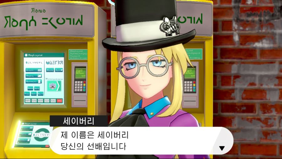 포켓몬스터 실드 생각보다 재밌어서 dlc도 구매