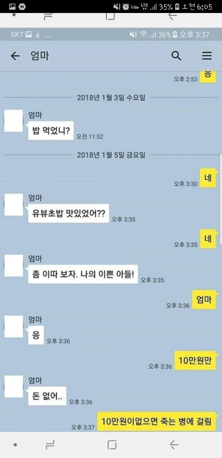 메이플)미쳐버린 메갤 근황.jpg_1.jpg