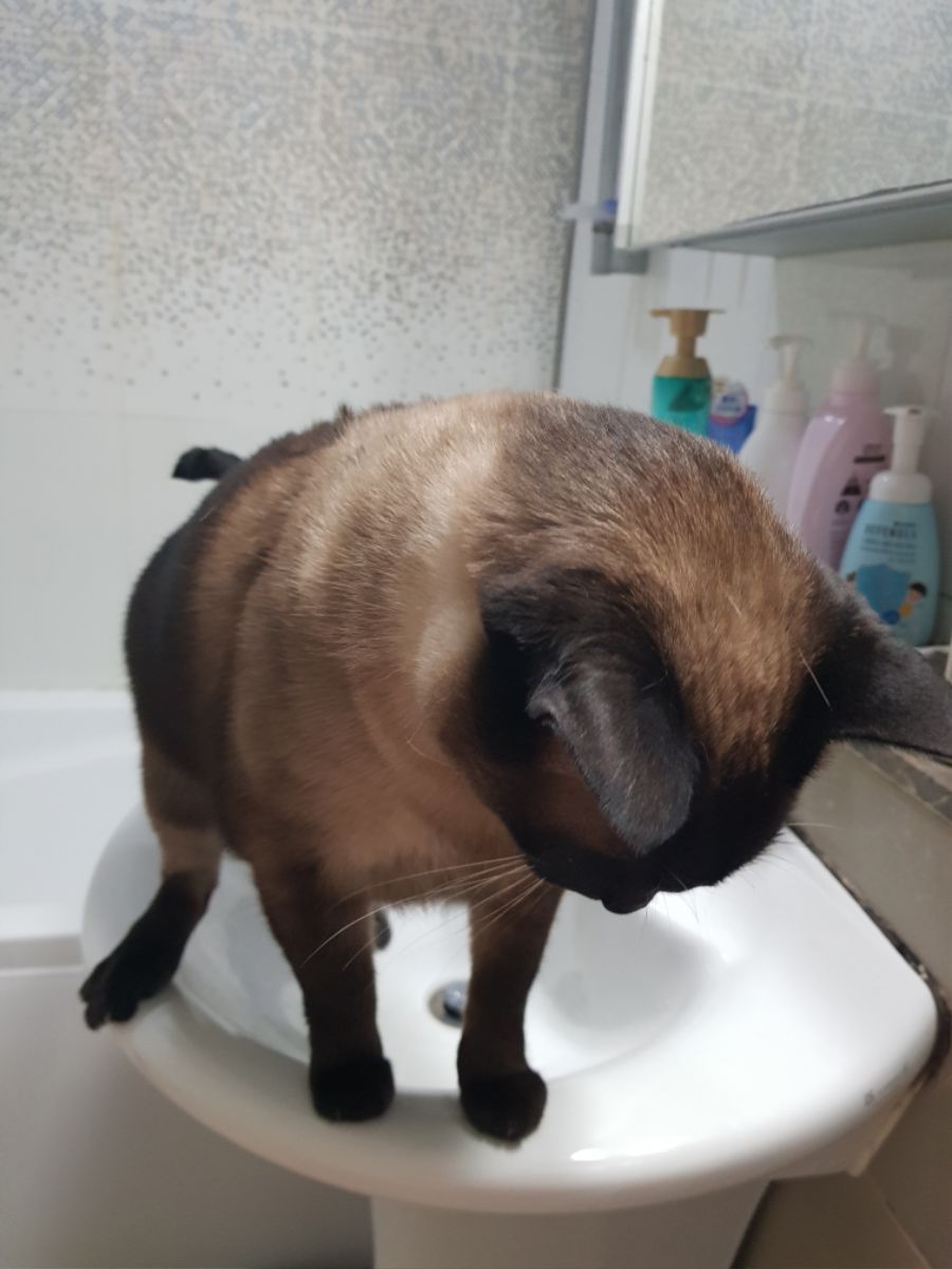 대충 무슨무슨법 준수한다는 제목_7.jpg