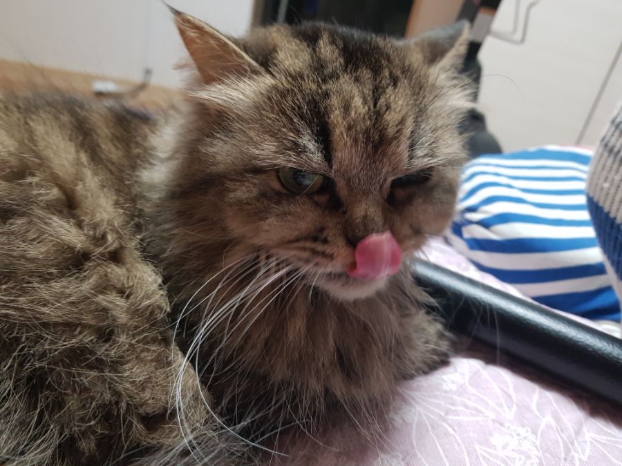 대충 무슨무슨법 준수한다는 제목_9.jpg