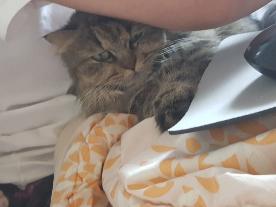 대충 무슨무슨법 준수한다는 제목_10.jpg