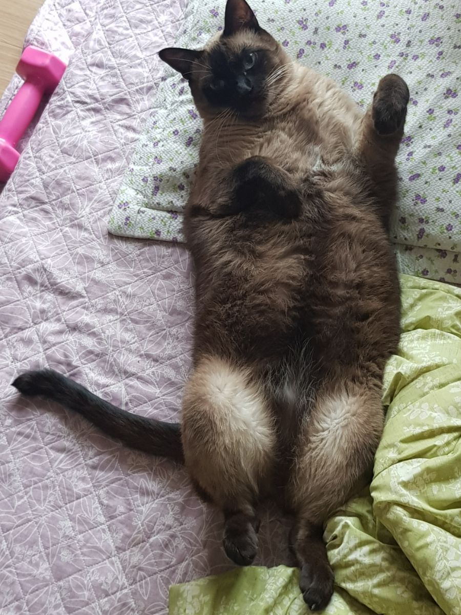 대충 무슨무슨법 준수한다는 제목_12.jpg