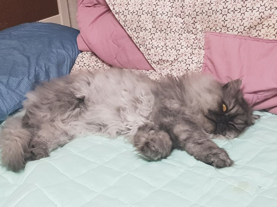 대충 무슨무슨법 준수한다는 제목_13.jpg