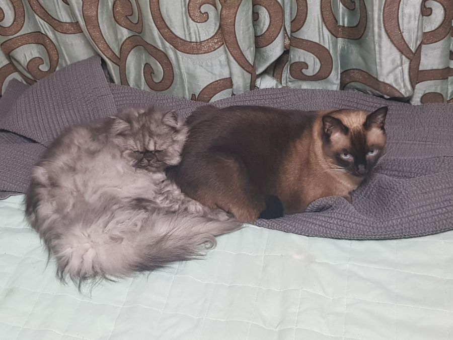 대충 무슨무슨법 준수한다는 제목_15.jpg