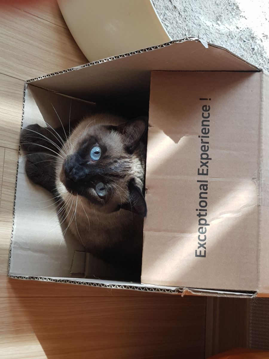 대충 무슨무슨법 준수한다는 제목_16.jpg