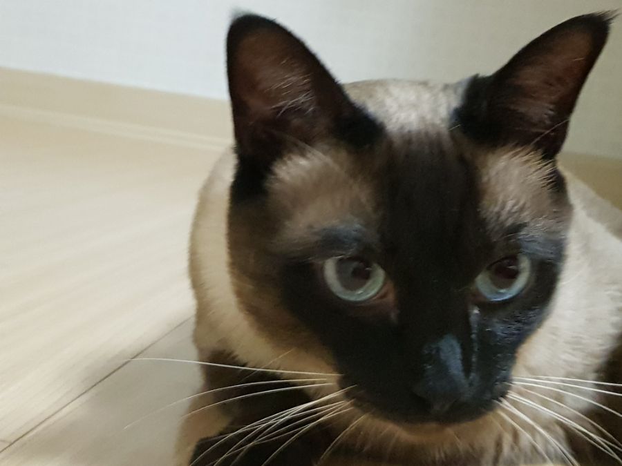 대충 무슨무슨법 준수한다는 제목_19.jpg