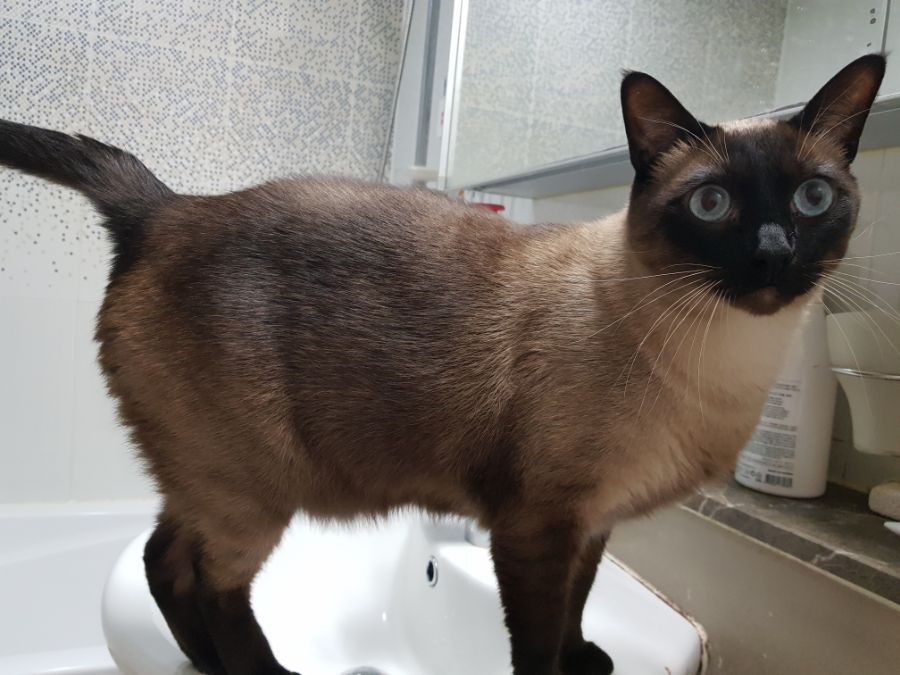 대충 무슨무슨법 준수한다는 제목_20.jpg