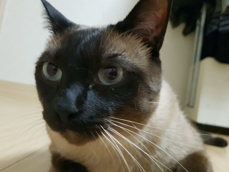 대충 무슨무슨법 준수한다는 제목_23.jpg