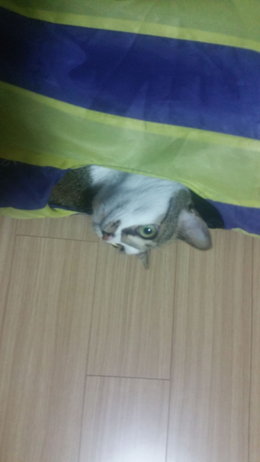 대충 무슨무슨법 준수한다는 제목_1.jpg