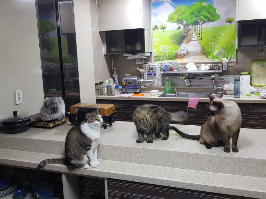 대충 무슨무슨법 준수한다는 제목_2.jpg