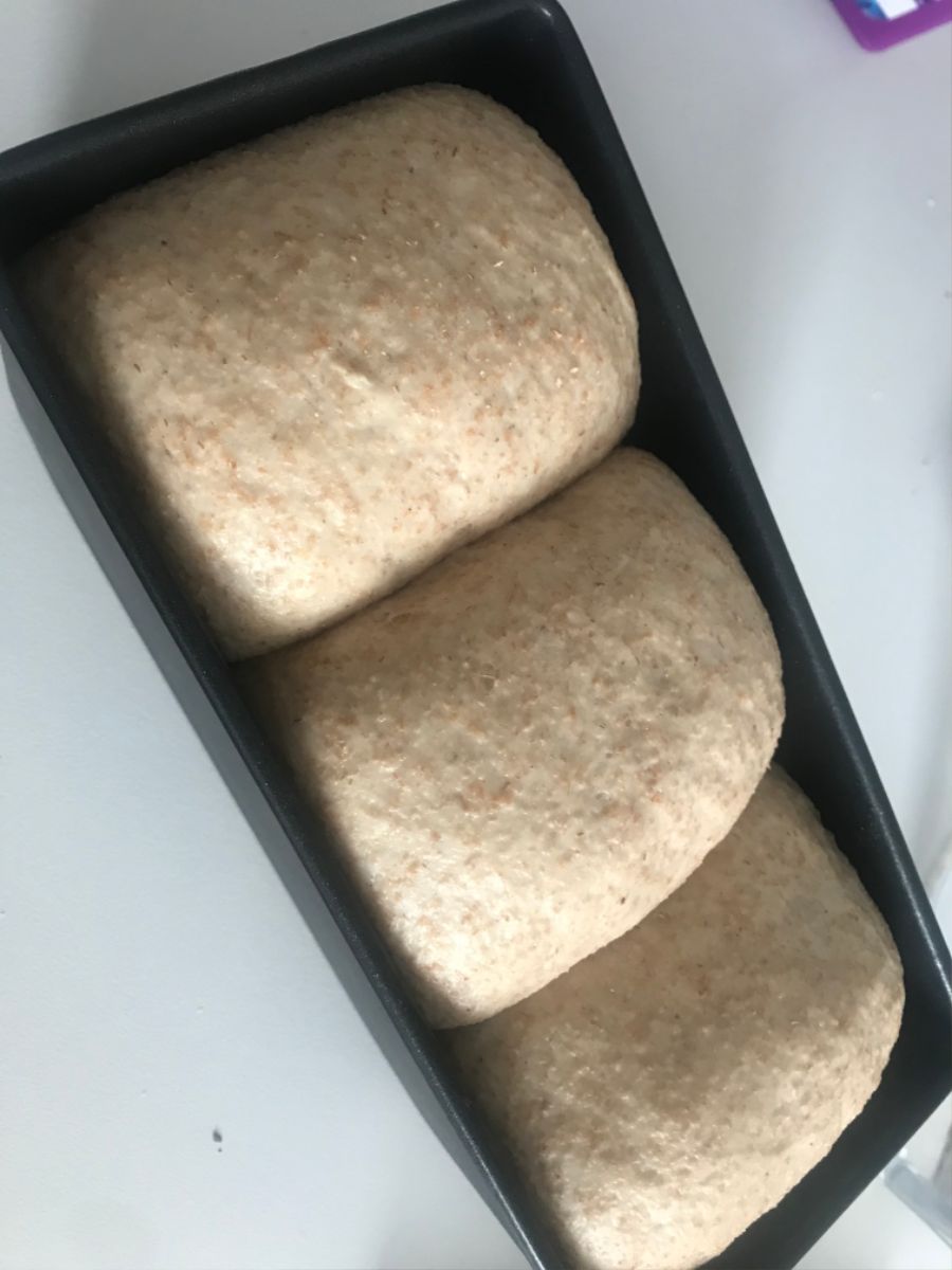 독일에서 통밀 식빵 만들기_1.jpg