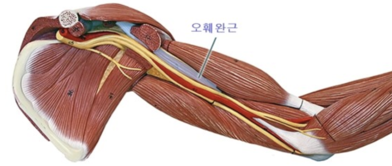 의외로 겨보지근 아님_6.png