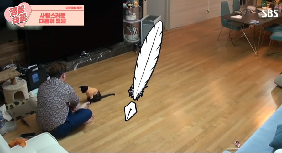 ㄹㅇ SSR 고양이_6.png