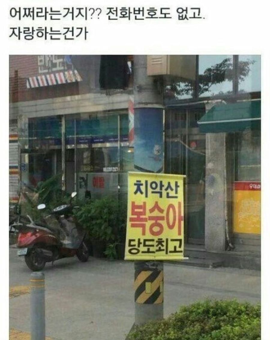 치악산 복숭아 당도 최고.jpg_1.jpeg
