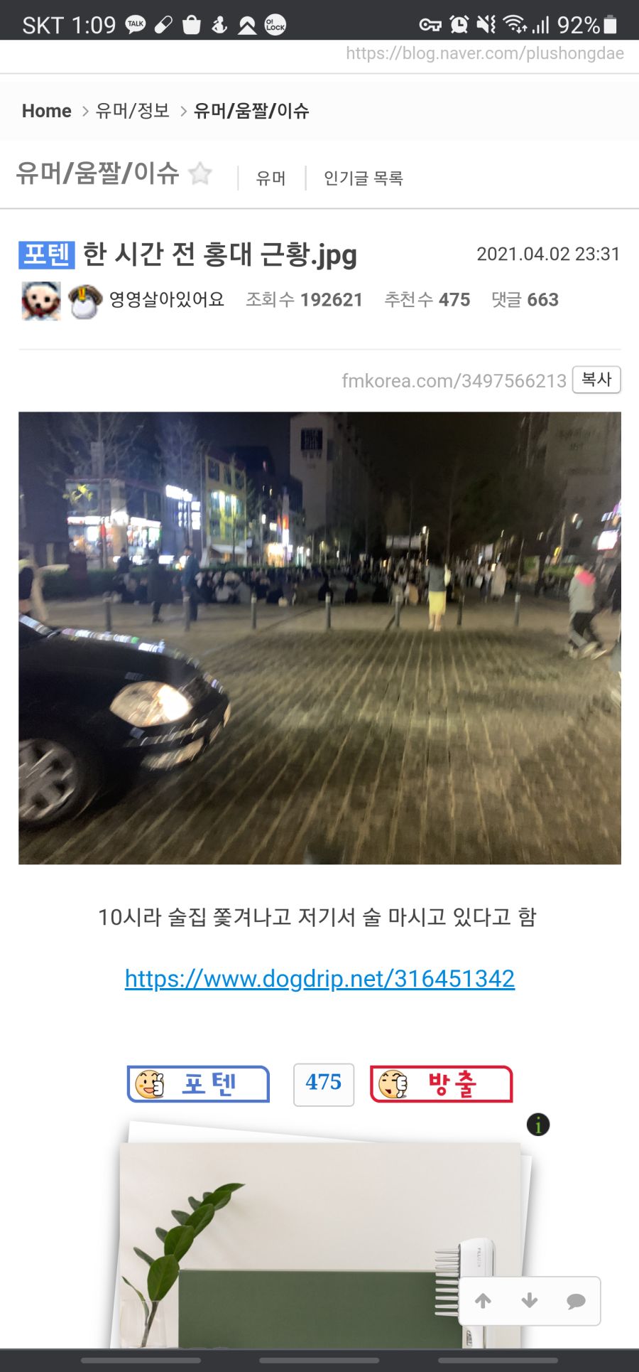 펨코 불펌충 저격_4.png