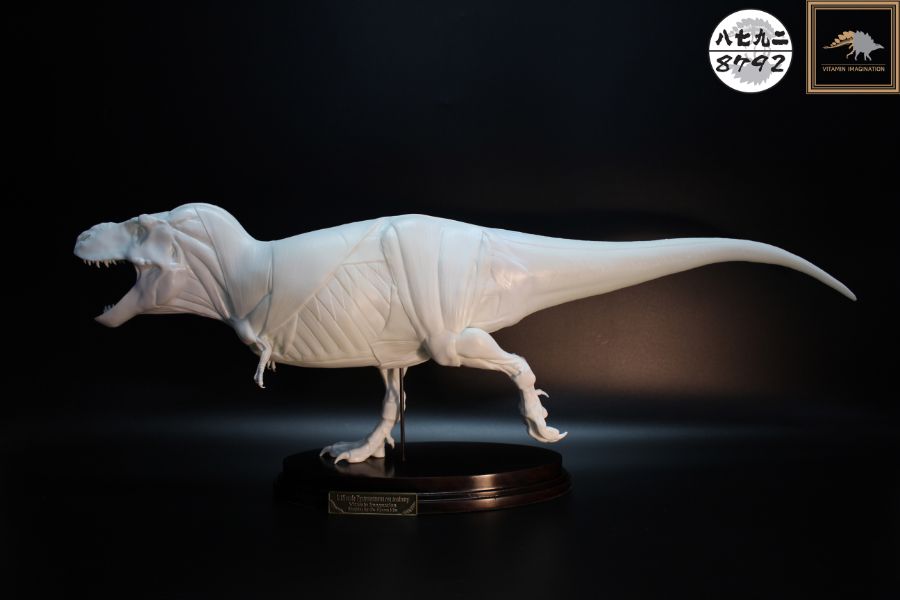 티라노사우루스 렉스 해부도 모형 완성 !_6.jpg