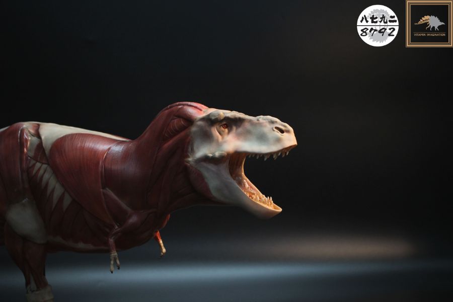 티라노사우루스 렉스 해부도 모형 완성 !_22.jpg