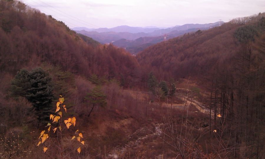 2011-11-10 16.16.34.jpg