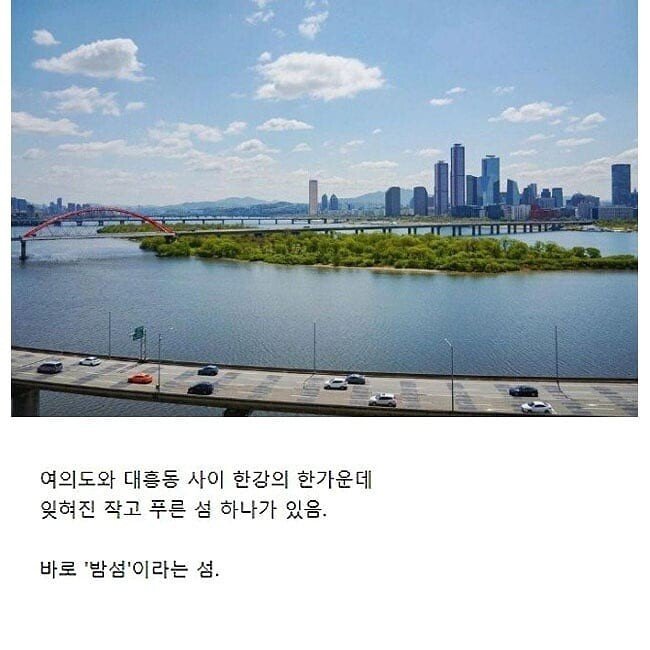 서울 한강에 있는 무인도.jpg_1.jpg