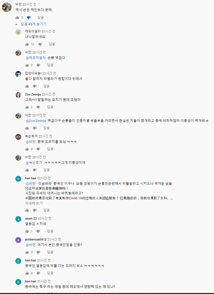 중국인 한국어 악플.png