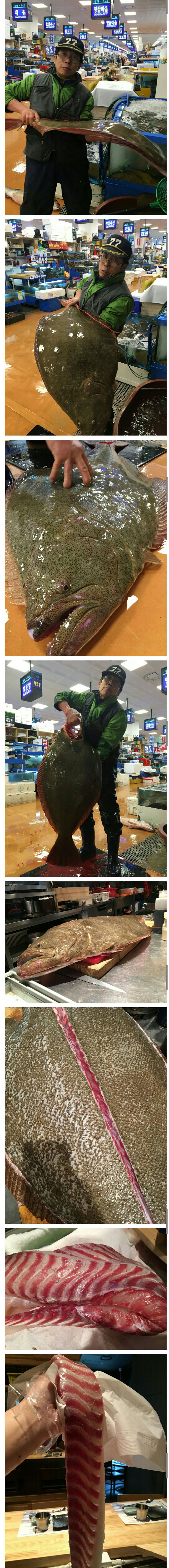 뭐요? 광어 한마리가 68만원?_1.jpeg