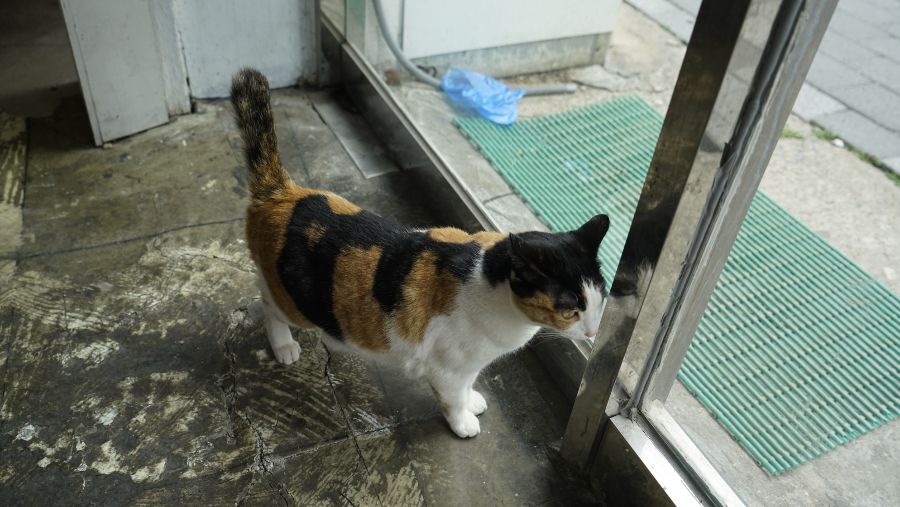 부산 사는 남자의 2021년 03월 먹부림. (※스압, 데이터)_64.jpg