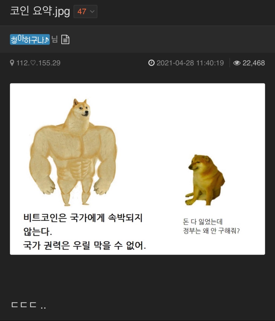 도지코인으로 한강뷰가 눈앞이네요ㅎ