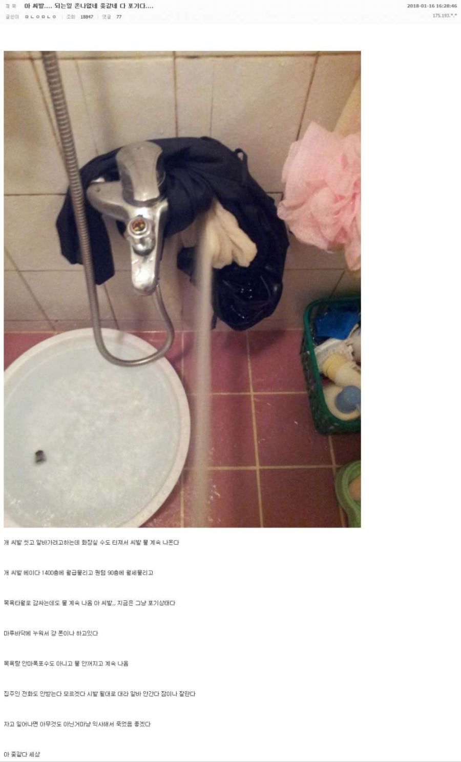 저번 코인판 시즌종료 됬을때 올라온 짤들