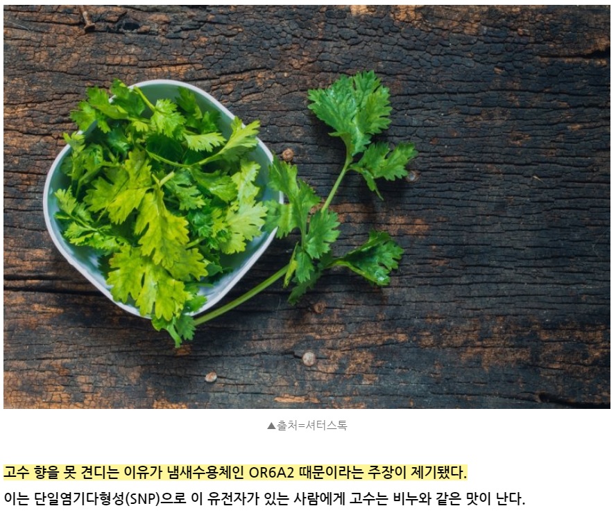 고수의 비누맛을 즐기는 한국인들이 "진짜"인 이유_1.jpg