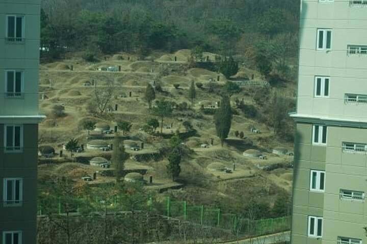 역대급 아파트 뷰.JPG_1.jpg