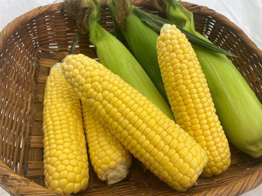 나는 초당옥수수 못먹겠던뎃_1.jpg