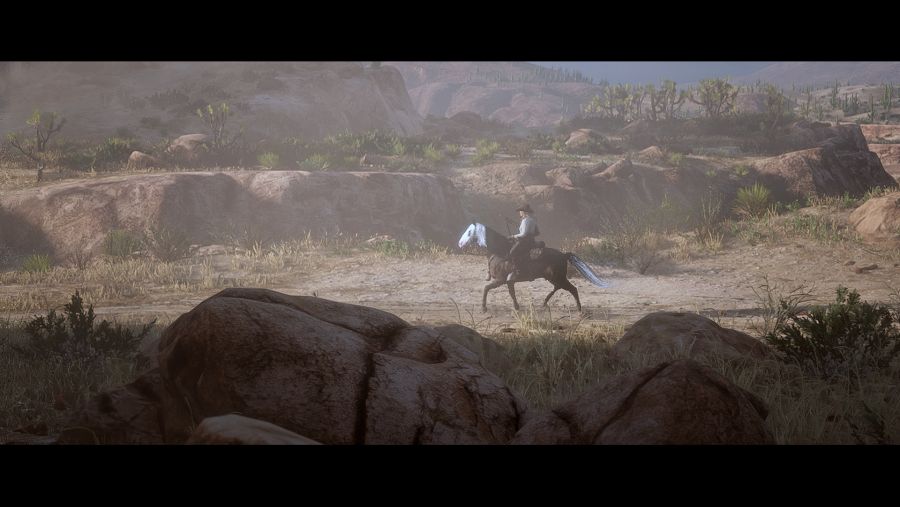 Red Dead Redemption 2 Screenshot 2021.05.29 - 14.51.43.31.png