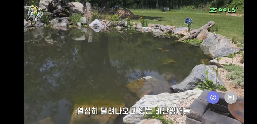 유튜브 망하게 생긴 유튜버_1.jpg