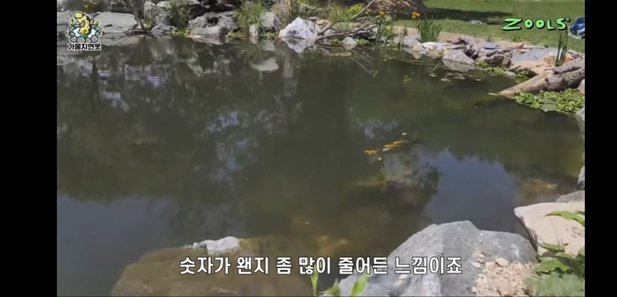 유튜브 망하게 생긴 유튜버_2.jpg