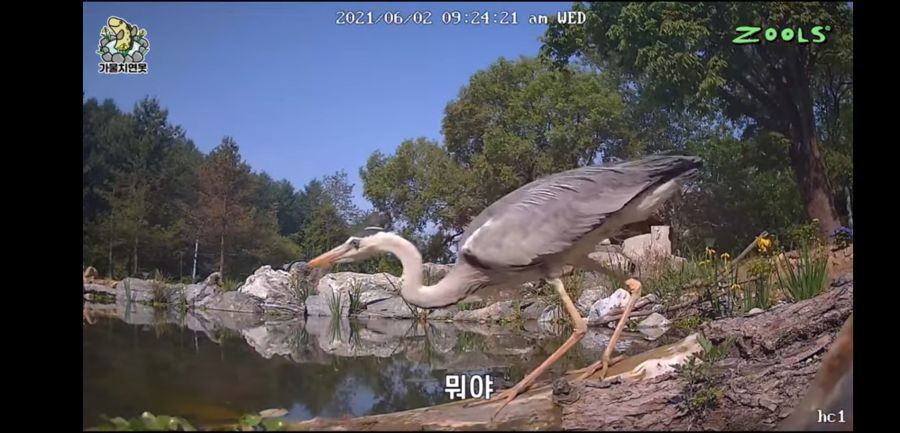 유튜브 망하게 생긴 유튜버_4.jpg