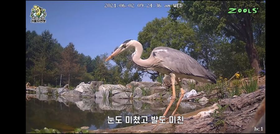 유튜브 망하게 생긴 유튜버_6.jpg