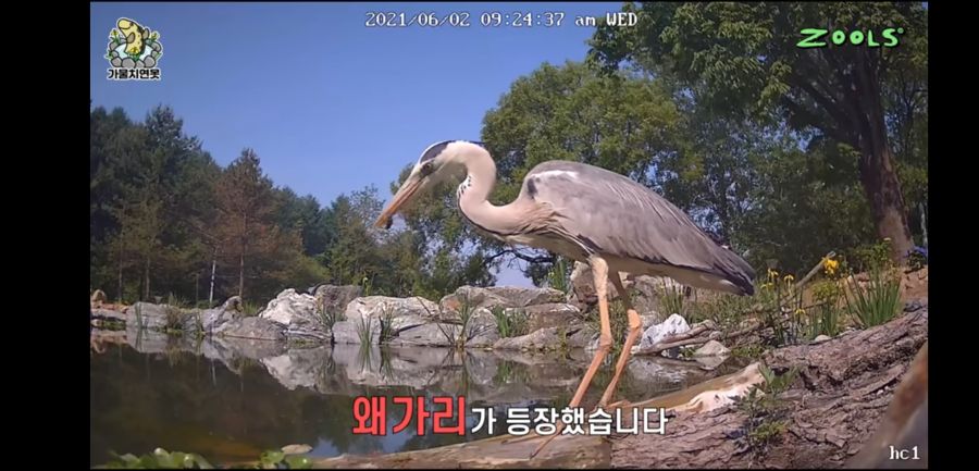 유튜브 망하게 생긴 유튜버_7.jpg
