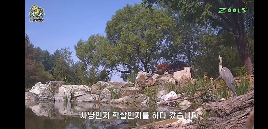 유튜브 망하게 생긴 유튜버_12.jpg