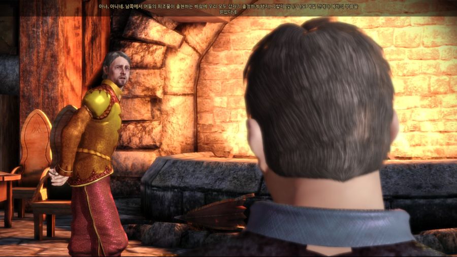 드래곤 에이지 오리진스_18.jpg