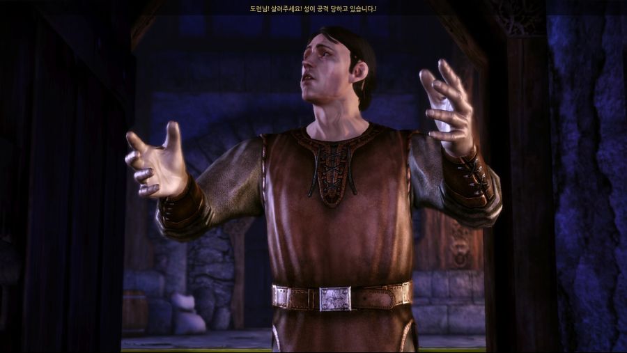 드래곤 에이지 오리진스_28.jpg