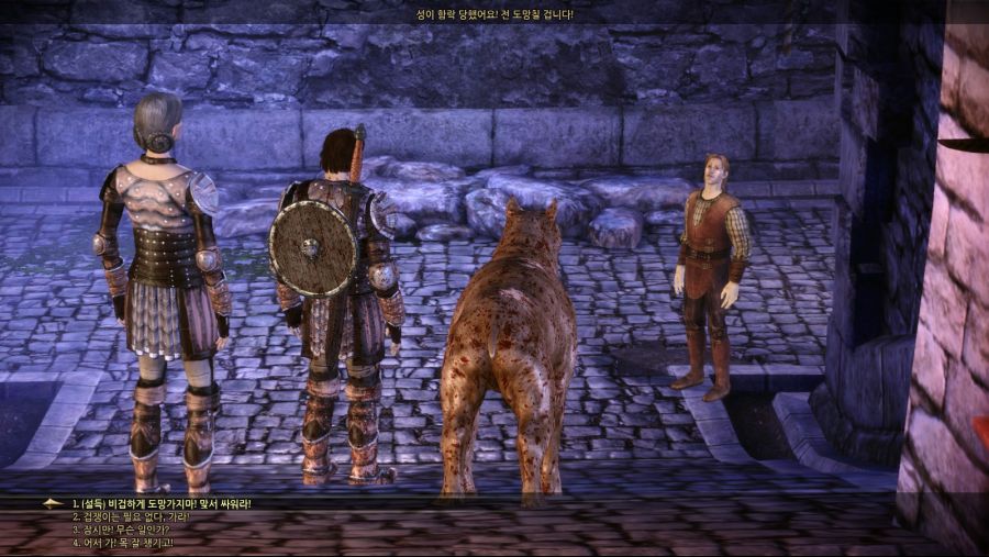 드래곤 에이지 오리진스_32.jpg